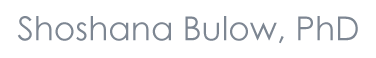 Shoshana Bulow, LCSW, PhD individual, couple and family therapy